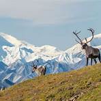 Anchorage, Alaska, Stati Uniti d'America4