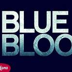 blue bloods eddie stirbt4