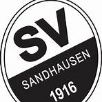 sv waldhof mannheim5