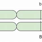 linkage e crossing over3