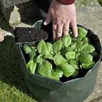 A Beginners Guide to Container Gardening1