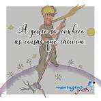 le petit prince frases3
