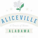 Aliceville, Alabama, U.S.4