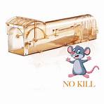 talbots mousetrap1