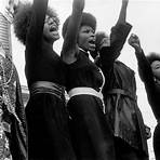 The Black Panthers: Vanguard of the Revolution4