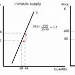 define inelastic supply4