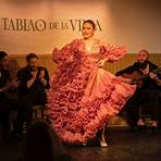 flamenco simon stevin1