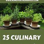 list of culinary herbs1