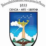 Instituto de Ciencias y Artes de Oaxaca3
