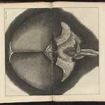 robert hooke micrographia2