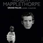 robert mapplethorpe grand palais5