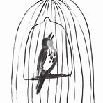 maya angelou caged bird5