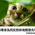台灣石虎保育協會4