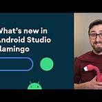 android studio download flamingo1