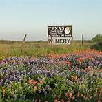 Texas SouthWind Vineyard & Winery Refugio, TX3