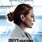 grey's anatomy 17 temporada dublado super flix4