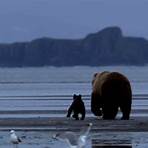 Great Bear Stakeout serie TV2