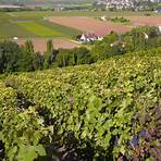 Should a Burgundy wine region be included in your to-do list?1