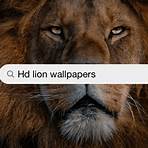 lion wallpaper4