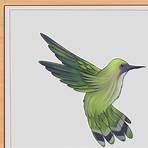 hummingbird drawing1