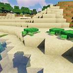 how to find sea turtle minecraft1