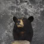 black bear taxidermy mount2