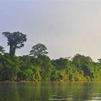 what does hectare mean in french guiana4