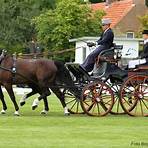 qatar equestrian2