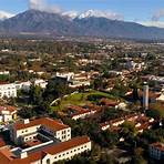 pitzer college california university5