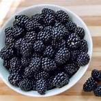 What if my blackberry is frozen or unresponsive?4