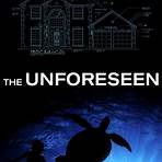 The Unforeseen1