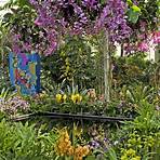 What is New York botanical gardens' 'orchid show'?4