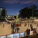 The Ice Rink2