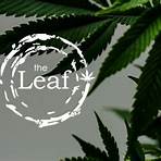 The Leaf1