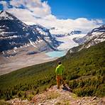 road between jasper and banff4