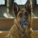 The Book of Dog Fernsehserie3