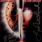 friday the 13th killer puzzle1