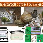 kit élevage escargots5