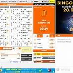 bingo gioco digitale online1