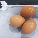 微波爐蒸蛋作法2
