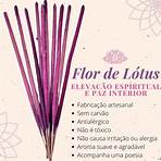 incenso flor de lótus significado1