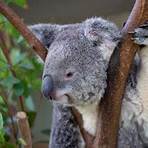 What is the best zoo in Sydney Australia?2