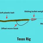 what is a rig in fishing report3
