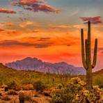 what are the most affordable places to live in arizona for seniors 552