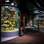 cleveland aquarium discount tickets3