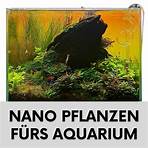 nano aquarium garnelen1
