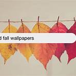 free fall wallpaper for computer2