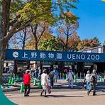 上野動物園 草泥馬1