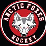 foxes hockey1