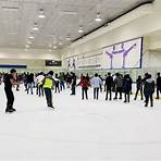 The Ice Rink4